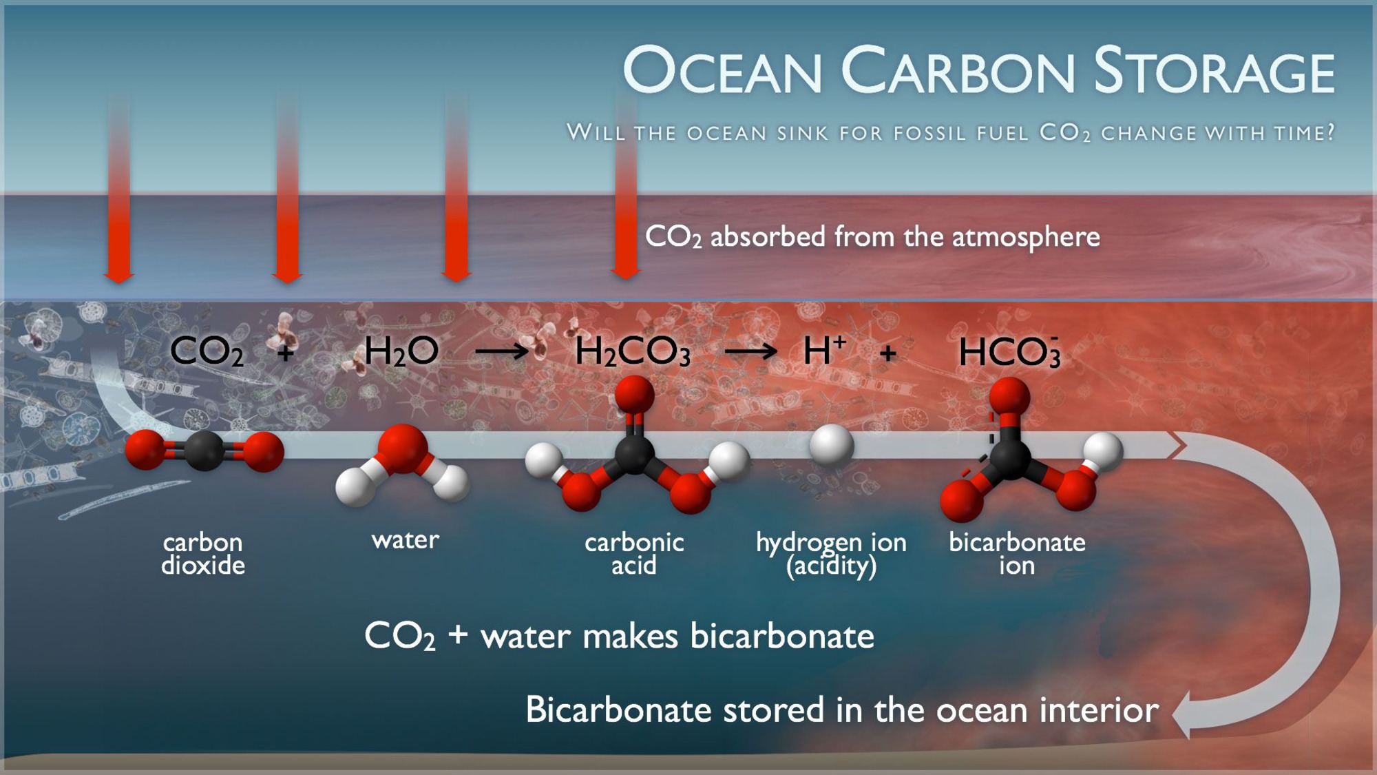 Carbonic Acid Ocean