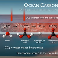 Ocean Carbon Storage