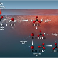 Ocean Acidification Chemistry