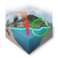Carbon Dynamics