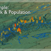 COVE Image: DHSVM Stream Network and Population