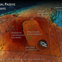 Marine Mammal Passive