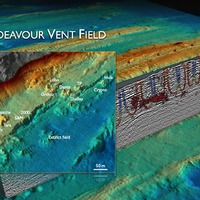 Main Endeavor Vent Field