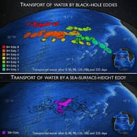 Water Transport