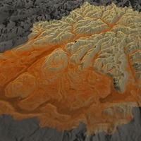 Snohomish River Basin Sediment Thickness