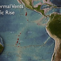 East Pacific