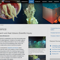 Novae Site Page Example 1