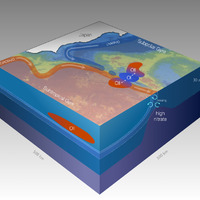 Phytoplankton Distribution