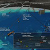 Instruments for Interactive Oceans