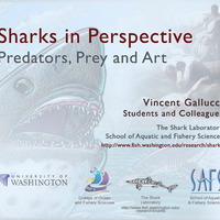 Sharks in Perspective Presentation Title Slide