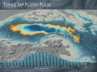 Dynamic Hydrology of the Tonle Sap Lake