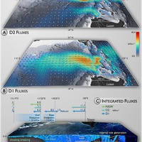 Internal wave energy fluxes in the South China Sea