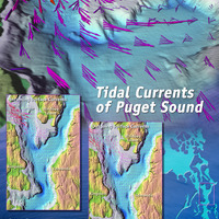 Tidal Currents