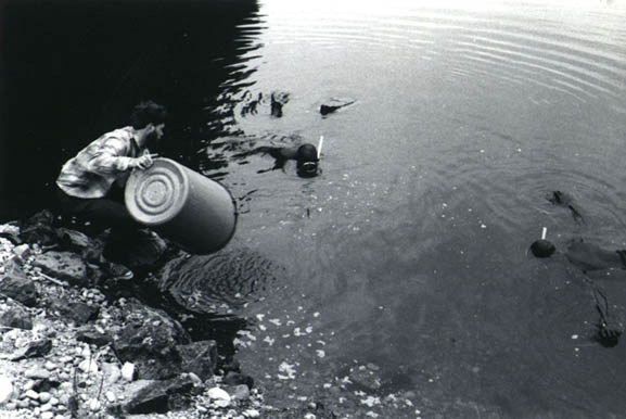 79bucket