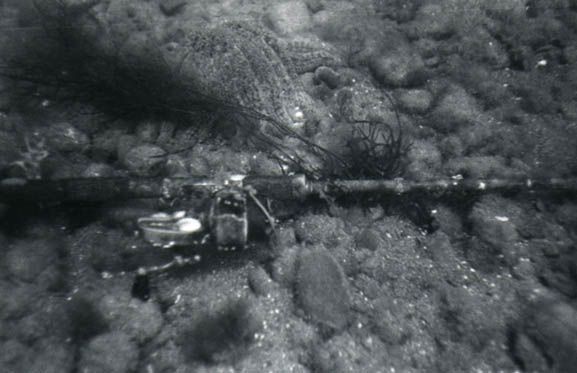 79fishingrod