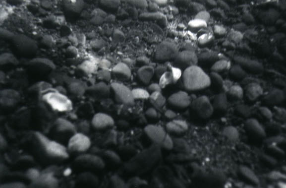 79rocks2
