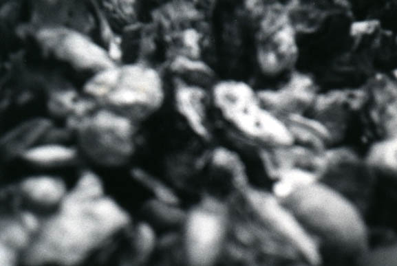 79weirdness2