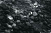 79rocks2