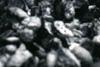 79weirdness2