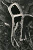 aerial_misc2