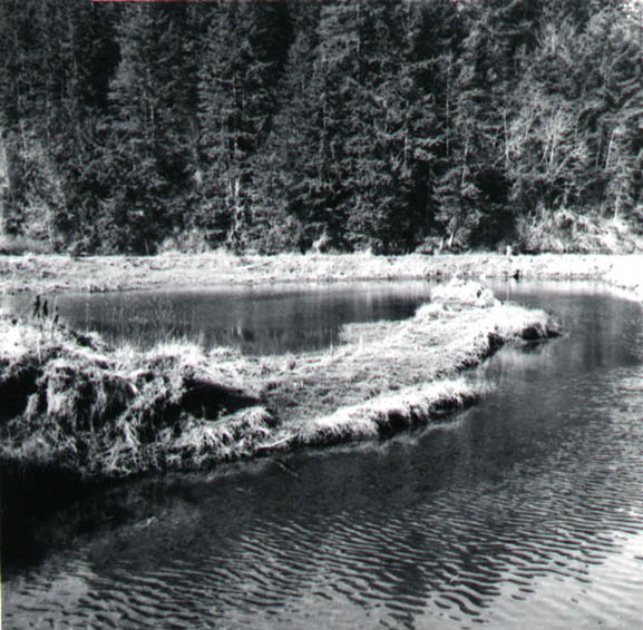 4thPond1967