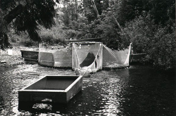 nets